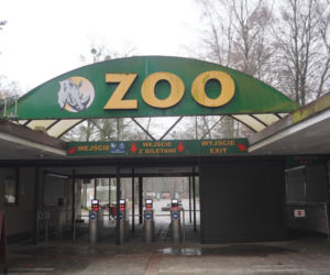 Zwierzęta z Starego Zoo trafią do Nowego