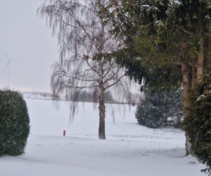 Atak zimy na wybrzeżu. Burze śnieżne, zasypane drogi i alerty IMGW