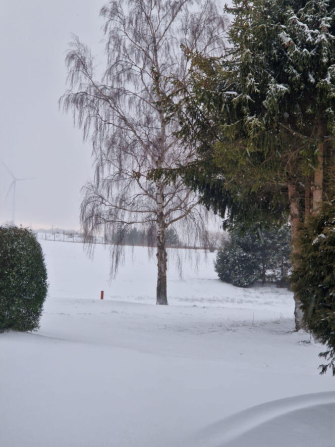 Atak zimy na wybrzeżu. Burze śnieżne, zasypane drogi i alerty IMGW