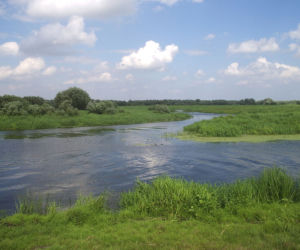 Ujście Warty