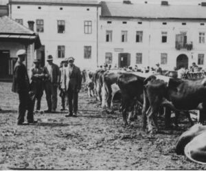 30 historycznych zdjęć Rzeszowa, które musisz zobaczyć! [STARE ZDJĘCIA]
