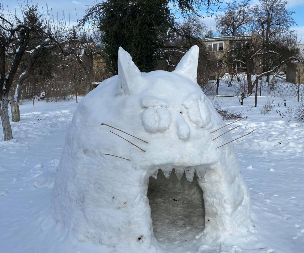 We Wrocławiu powstał domek igloo. Przypomina uroczego kota!