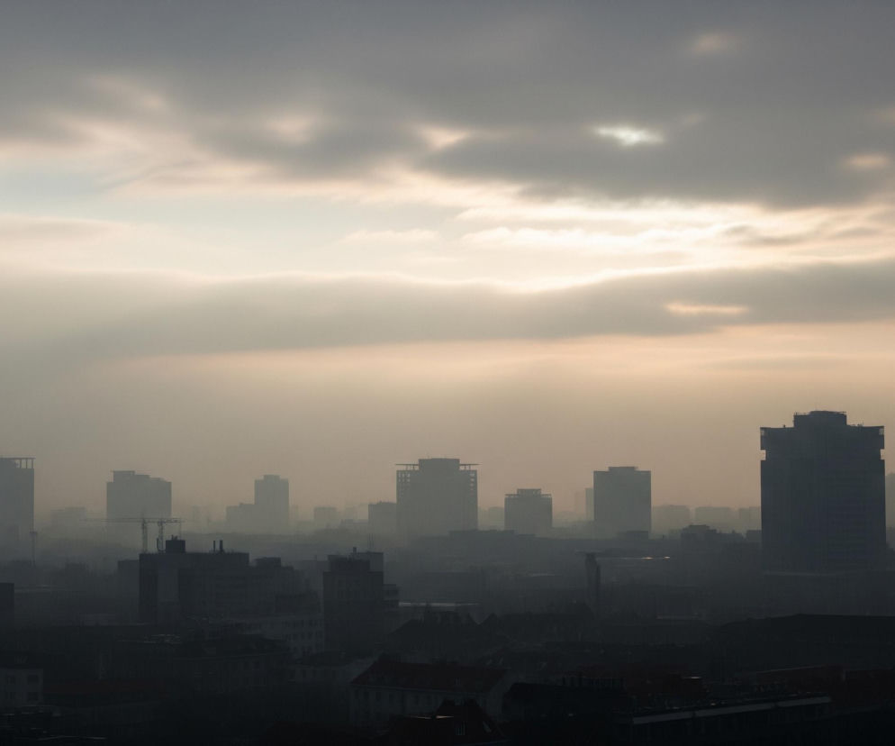 Miasto spowite jest gęstą mgłą lub smogiem, co tworzy monochromatyczną paletę barw szarości i beżu. Na pierwszym planie widać ciemne sylwetki budynków mieszkalnych o spadzistych dachach, niektóre z widocznymi oknami. Dalej, w tle, wyróżniają się wyższe wieżowce o prostych kształtach, ich kontury są rozmyte i słabo widoczne przez zasłonę atmosferyczną. Na horyzoncie, powyżej linii budynków, jaśnieje mleczne, zachmurzone niebo, przez które przebija się rozproszone światło.