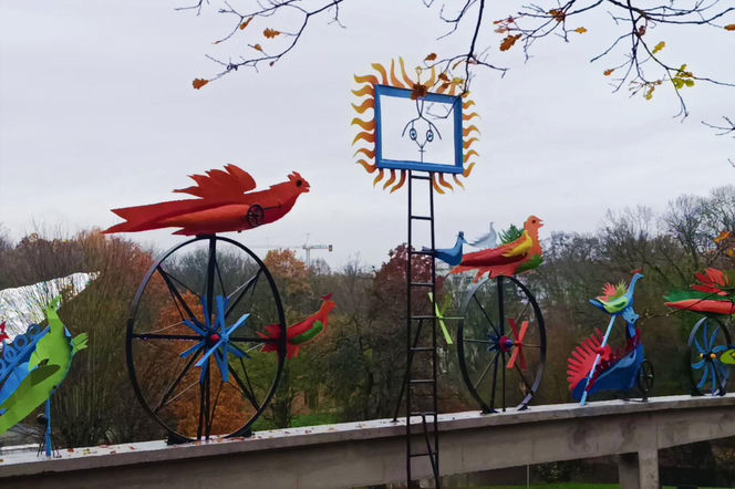 "Ogniste Ptaki" w Parku Kasprowicza w Szczecinie