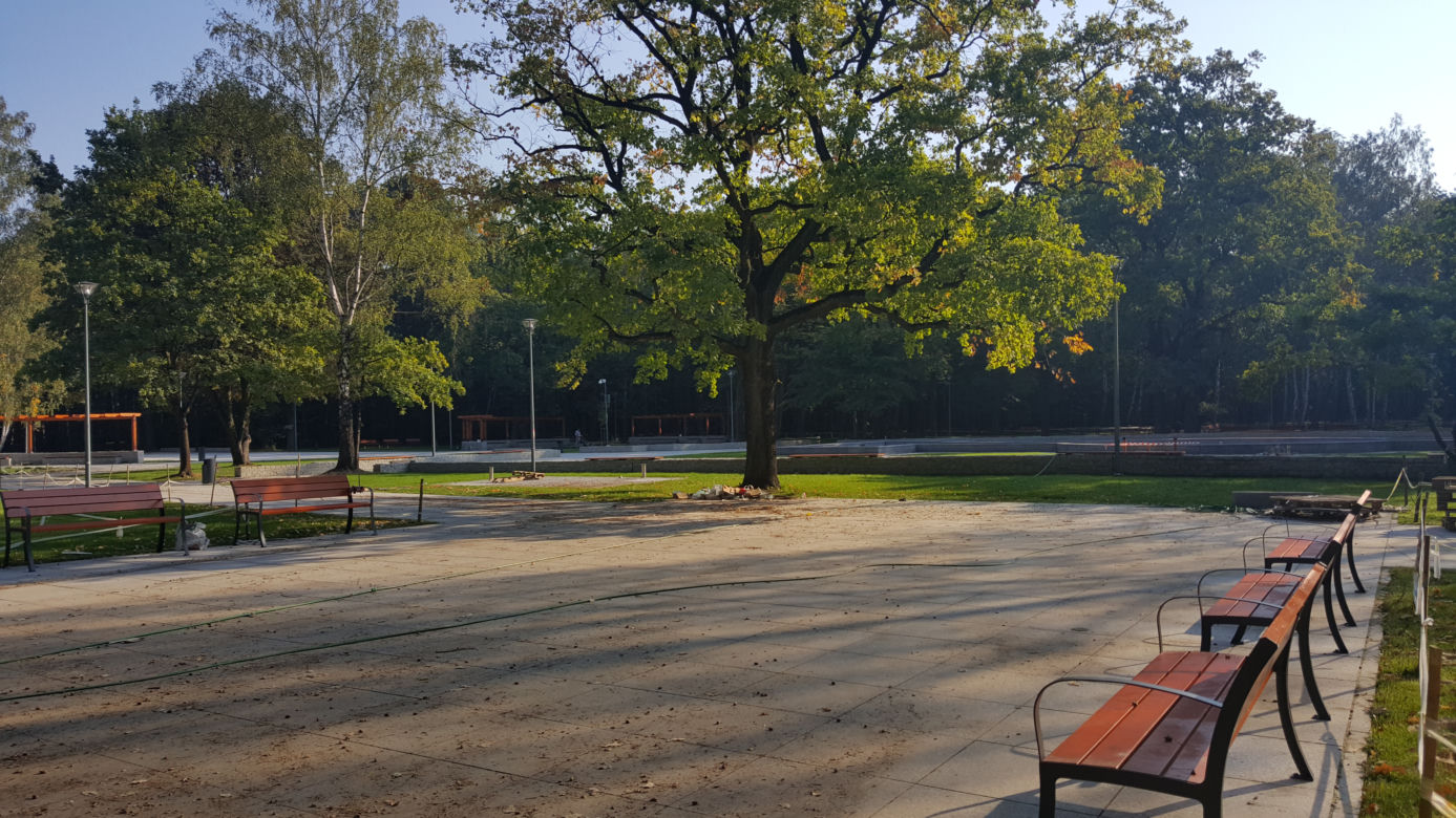 Park Zielona w Dąbrowie Górniczej
