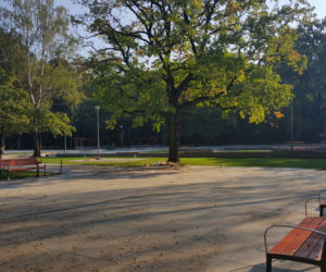 Park Zielona w Dąbrowie Górniczej