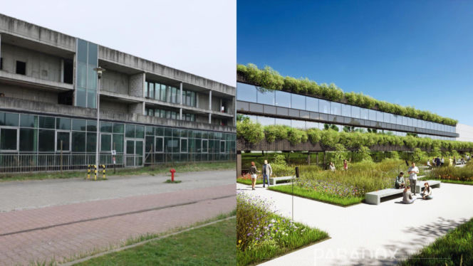 Niedokończony budynek Zespołu Szkół Municypalnych w Tychach i wizualizacja po przebudowie