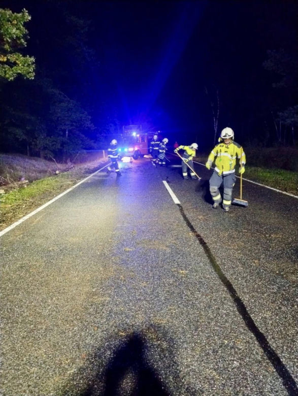 Drzewo runęło na jadący samochód! O krok od tragedii na DK 10 pod Bydgoszczą