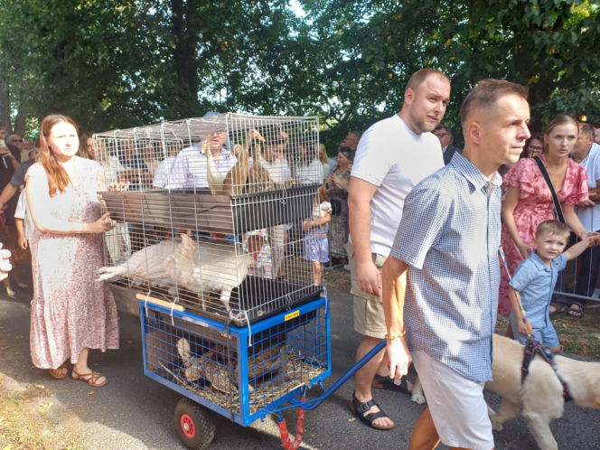 Święcenie zwierząt u św. Rocha 2026