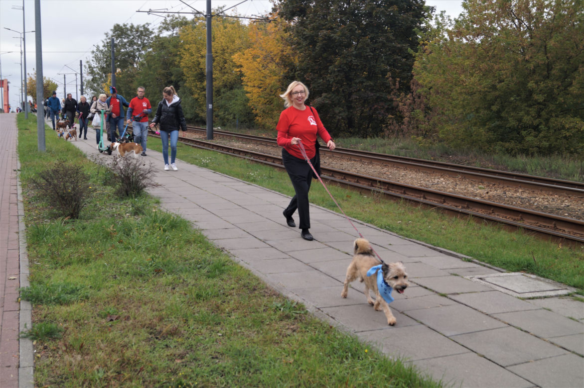 Parada Psów Adoptowanych w Bydgoszczy 2022 [ZDJĘCIA]