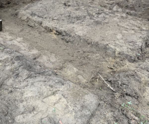 Olsztynek. Odsłonięto zbiorowe mogiły sprzed 100 lat. Nikt się tego nie spodziewał