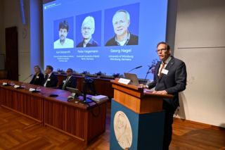 Nobel z medycyny 2026. Kto ma szansę na prestiżowe wyróżnienie? Lista faworytów i kwota