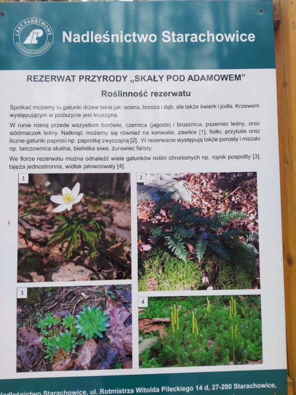 Rezerwat Przyrody "Skały pod Adamowem"