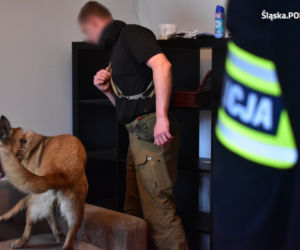 Katowice: WIELKA akcja policjantów! Narkotyki, samochody i miliony złotych 