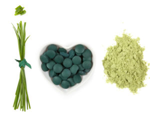 Chlorella
