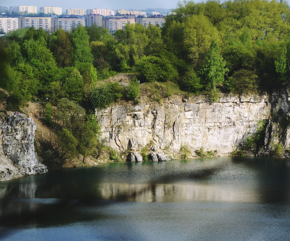 Zdjęcie dnia