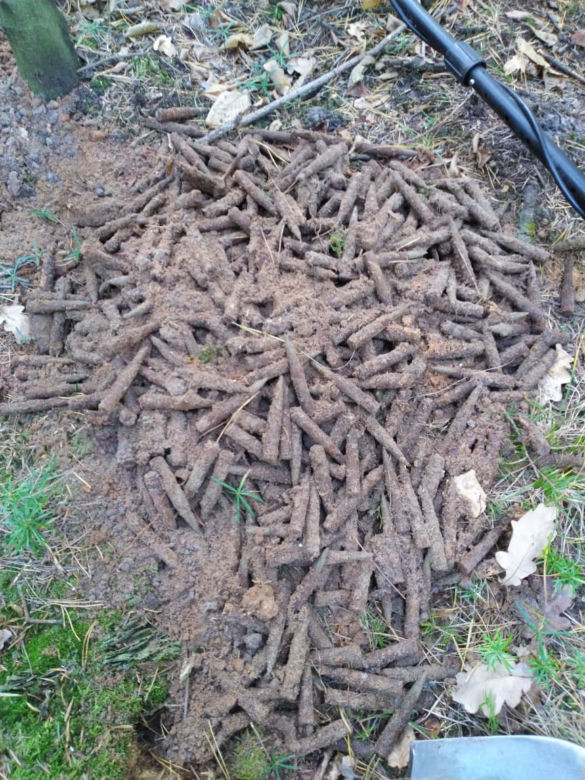 600 sztuk amunicji w starachowickich lasach