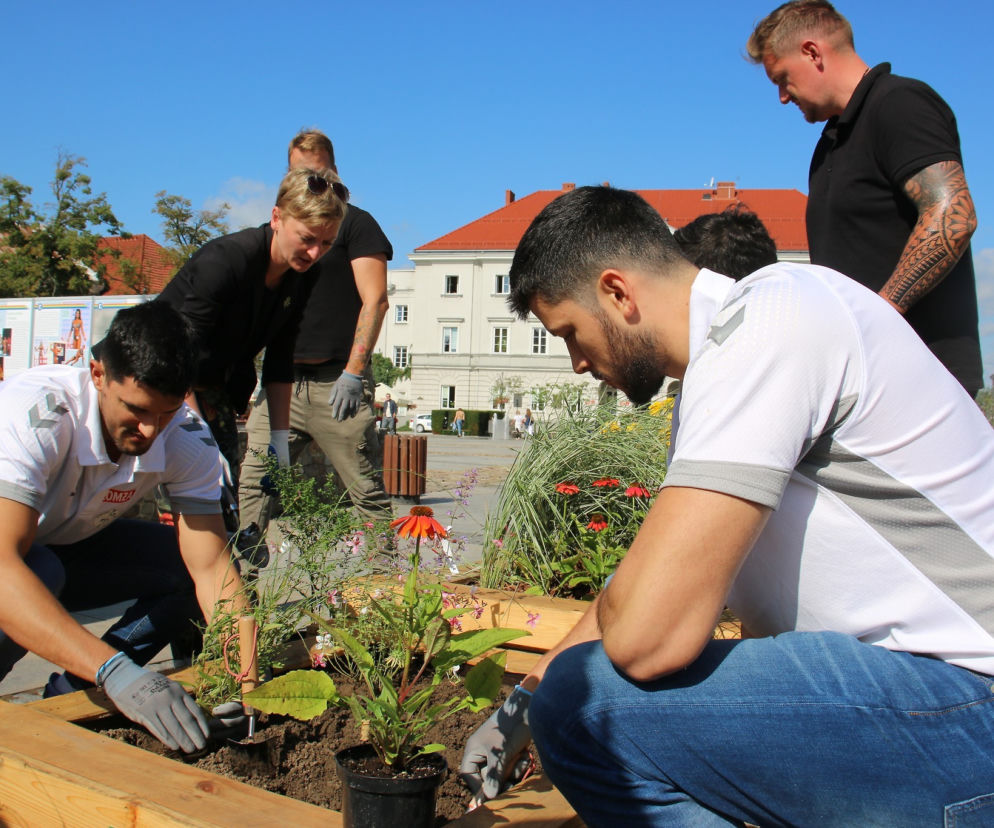 Miniogród powstał na Rynku w Kielcach