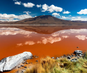 Laguna Colorada Jezioro w Boliwii