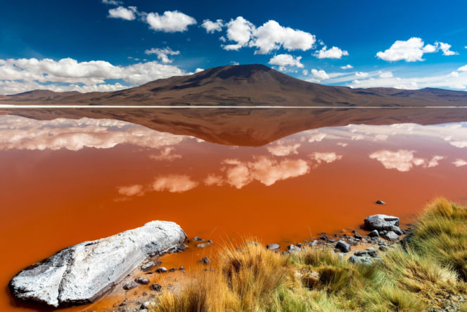Laguna Colorada Jezioro w Boliwii