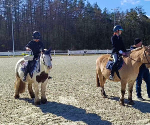 Konna święconka w Szczecinie