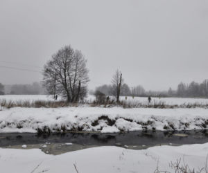 Tragiczna śmierć Emilii K. pod Włodawą. Wciąż więcej pytań niż odpowiedzi