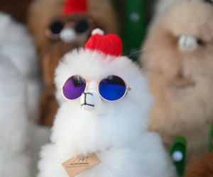 Jarmark Warszawski 2025. Co można znaleźć na stoiskach? Będą otwarte do 1 stycznia [ZDJĘCIA]