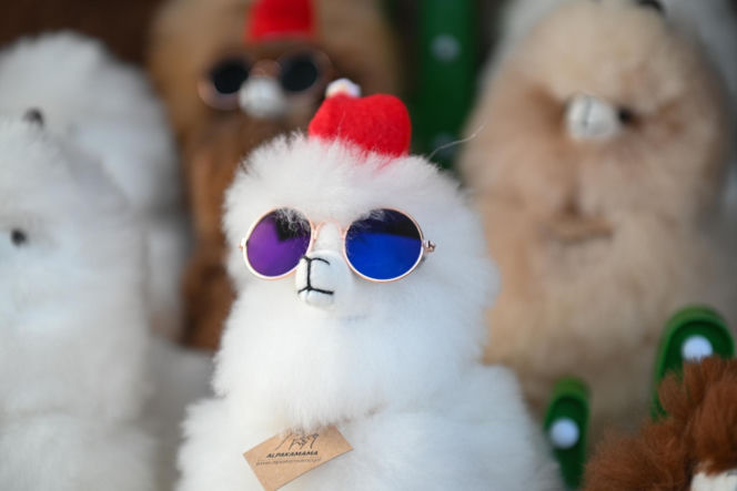 Jarmark Warszawski 2025. Co można znaleźć na stoiskach? Będą otwarte do 1 stycznia [ZDJĘCIA]