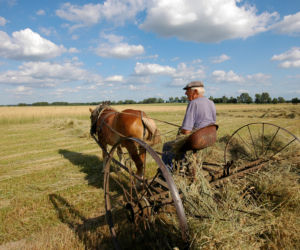Magiczne Podlasie
