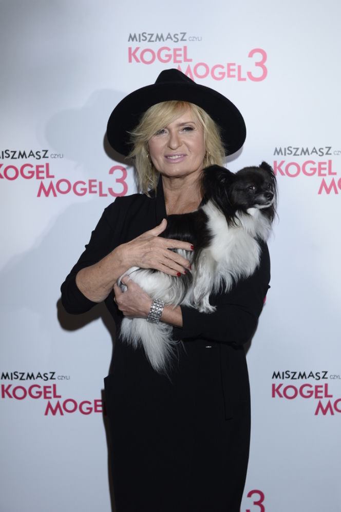 Anna Mucha osiwiała po zdjęciach do "Misz-Masz", Kogel-Mogel3