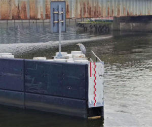 Tramwaj wodny Szczecin - Mescherin - Gartz