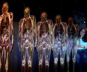 Body Worlds