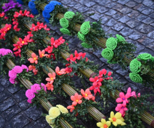 35 metrów i 80 centymetrów liczy palma, która zwyciężyła tegoroczny konkurs palm w Lipnicy Murowanej