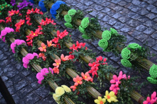 35 metrów i 80 centymetrów liczy palma, która zwyciężyła tegoroczny konkurs palm w Lipnicy Murowanej