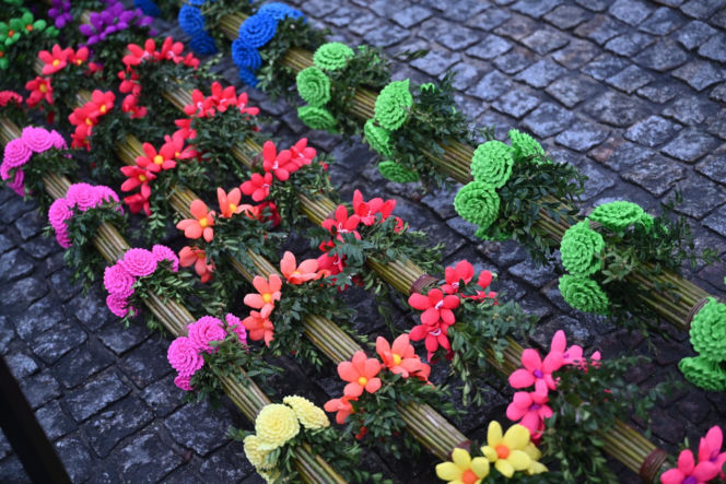 35 metrów i 80 centymetrów liczy palma, która zwyciężyła tegoroczny konkurs palm w Lipnicy Murowanej