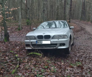 BMW porzucone w lesie