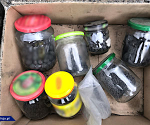 Funkcjonariusze przejęli dziesiątki kilogramów materiałów wybuchowych