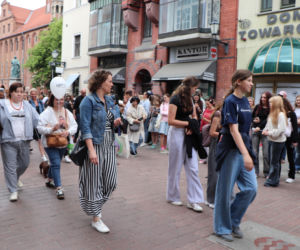 Zlot jamników w Toruniu. Mamy zdjęcia psiaków, właścicieli i fanów czworonogów