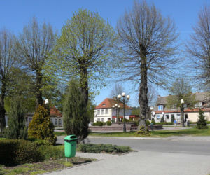 Torzym