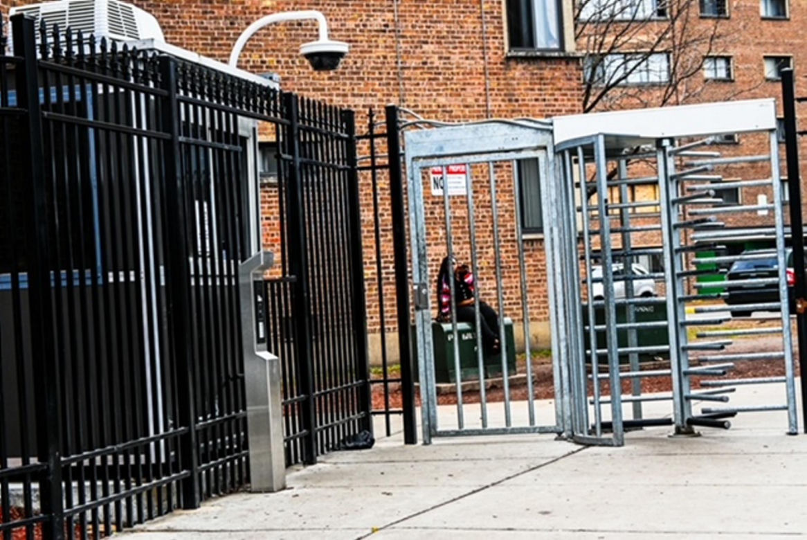 Rozmowa z Katarzyną Kogut z Chicago 