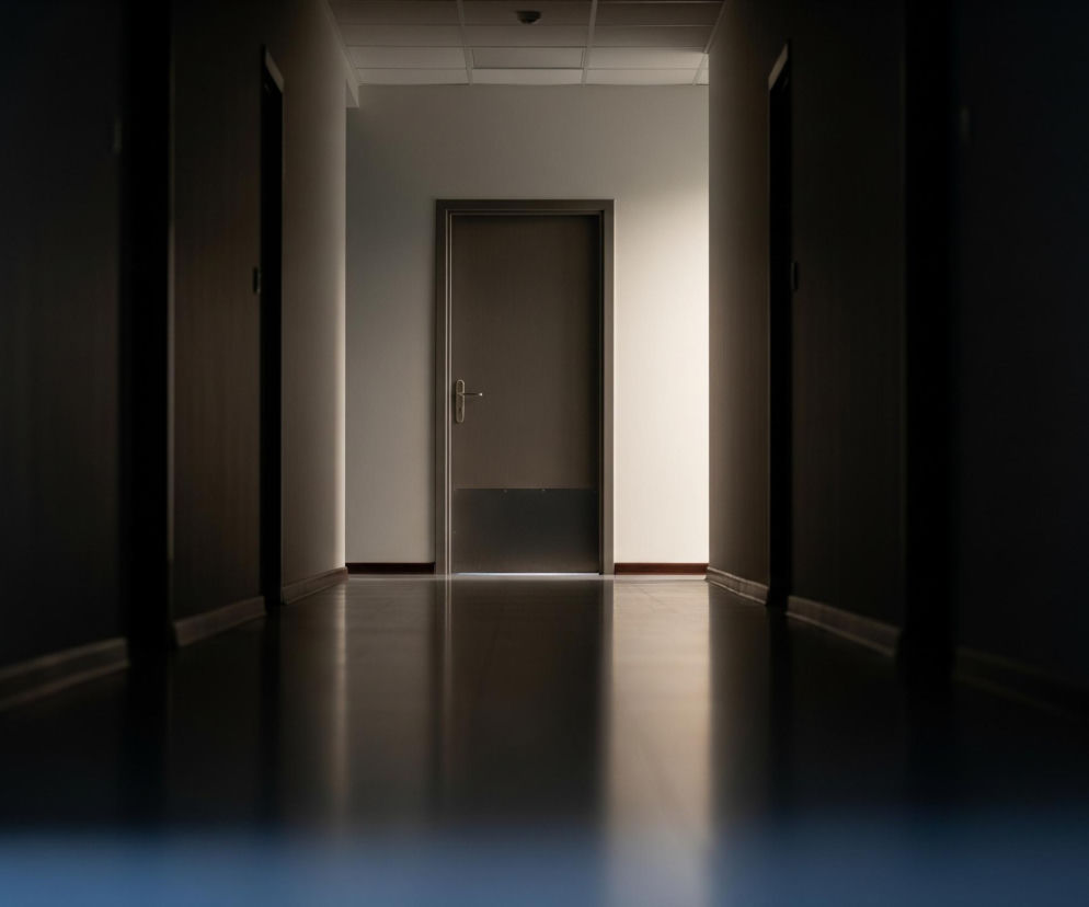 Ciemny, pusty korytarz, oświetlony jedynie przez jasne światło wpadające przez otwarte drzwi na jego końcu. Ściany boczne korytarza są bardzo ciemne, granatowo-czarne, z delikatnym, ledwo widocznym blaskiem odbijającym się od nich. Na podłodze widoczne jest wyraźne odbicie jasnego światła, które rozjaśnia centralną część posadzki i tworzy złudzenie głębi. Sufit w głębi korytarza ma kasetony, a po prawej stronie otwartych drzwi, na białej ścianie, widać klamkę.