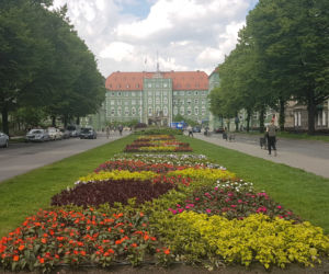 Szczecin w kwiatach