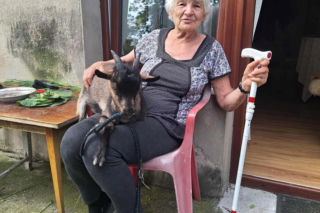 Zabili 83-letnią seniorkę za 180 zł.  Jej pokiereszowane ciało ukryli w wersalce