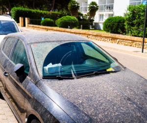 Pył z Sahary na autach