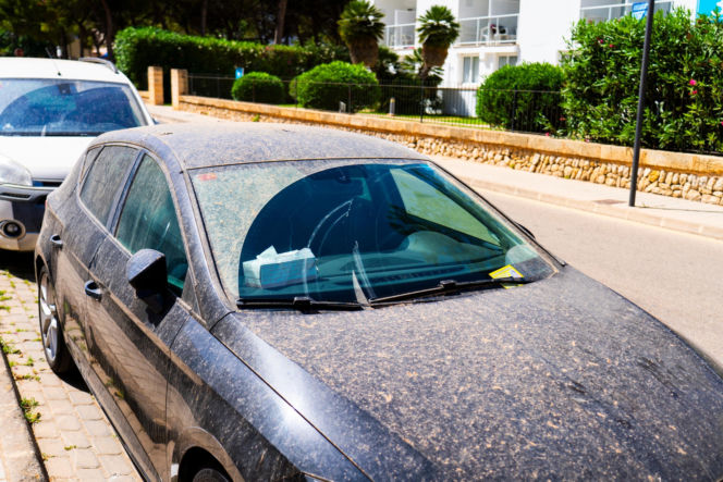 Pył z Sahary na autach