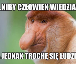 Memy po meczu Polska - Węgry
