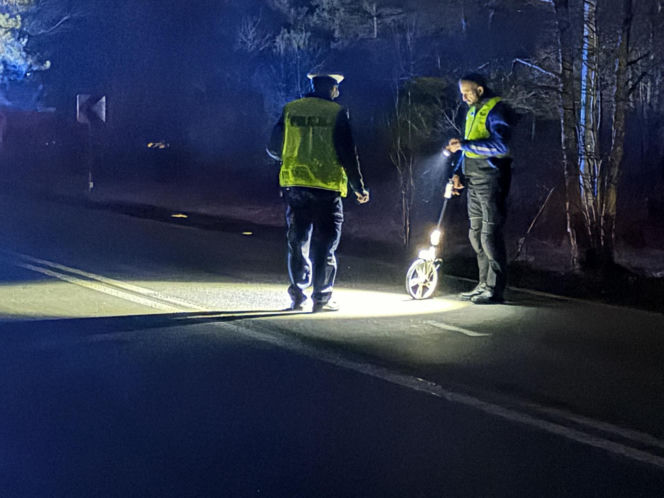 Koszmar na DK 50. 11-latka nie żyje. W auto wbiło się drzewo z ciągnika