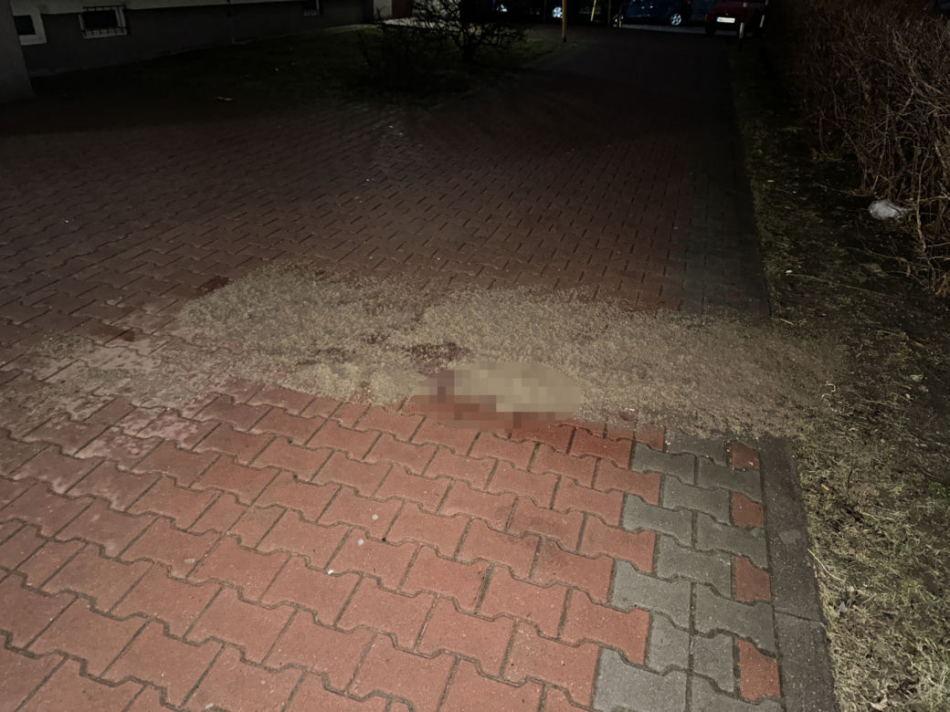 Dramat w Ursusie. Pod blokiem leżały kobiece zwłoki. Co się stało?!