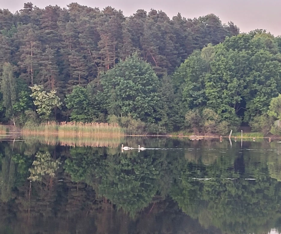 Tego nie wiedzą nawet niektórzy mieszkańcy regionu. Czym różni się Warmia od Mazur?