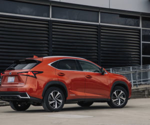 Lexus NX 300h